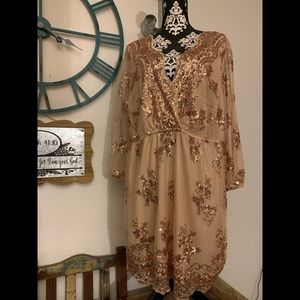 Plus Size Gorgeous Blush Sequined Mini Dress